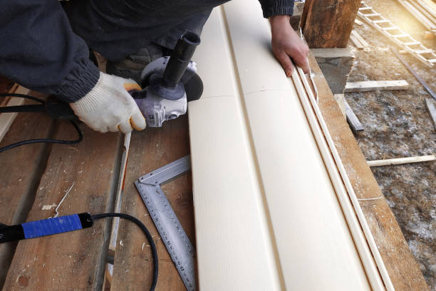 Best Vinyl Siding Installation  in Tres Arroyos, NM