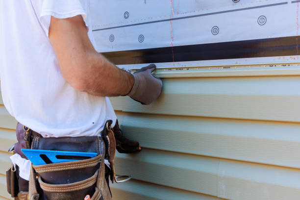 Best Vinyl Siding Installation  in Tres Arroyos, NM